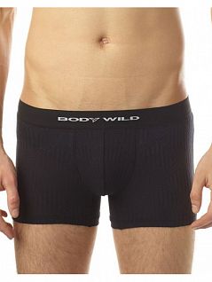 Мужские боксеры-брифы из тончайших нитей черного цвета BODY WILD BWE063Gc97 черный
