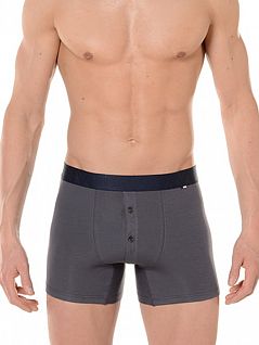 Стильные мужские трусы из хлопка серого цвета HOM Victor 01089cZU