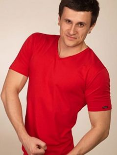Мягкая футболка для повседневного ношения Jolidon DT17блмФмн Red