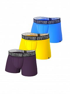 Набор хлопковых боксеров ярких цветов (3шт) DAITRES SET-BCL-06-07-08-D Желтый, Фиолетовый, Бирюзовый