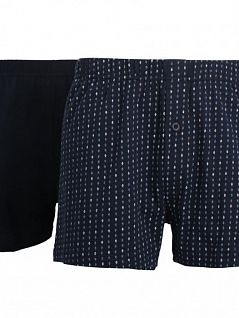 Набор трусов из 100% хлопка на вшивной резинке (2шт) GOTZBURG FG742472/M-XXL Синий/Синий