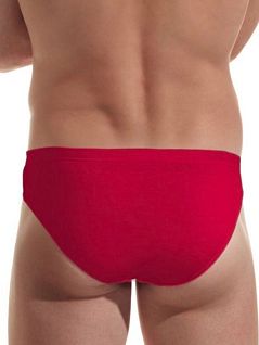 Яркие брифы из однотонной ткани Jolidon DT194блнТм Red