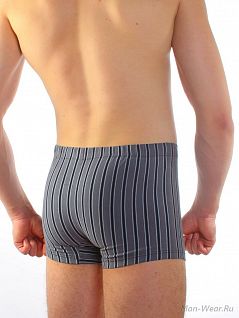 Серые мужские трусы в полоску Gentlemen SIGS5012