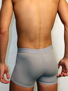 Мужские трусы боксеры серые Doreanse Classic Boxers 1755c03