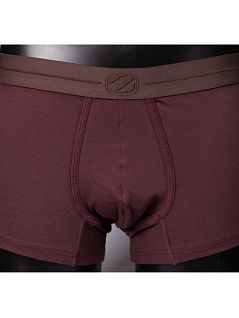 Комфортные боксеры анатомического кроя бордового цвета Ermenegildo Zegna N3LC61290c602
