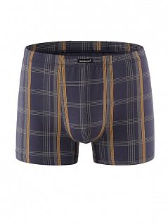 Cовременные боксеры в клетку Gentlemen SIGS7851Б графит