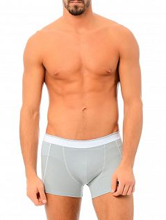 Мужские боксеры на широкой резинке LT44BX3009 MADRID BOXER Kom серый