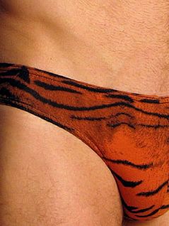 Мужские тигровые трусы слипы Doreanse Tiger Collection 1287c01