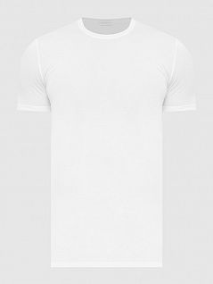Модель мужской футболки оригинального качества белого цвета Ermenegildo Zegna N2M200060c100