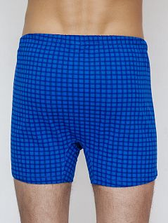 Стильные мужские семейные трусы синего цвета в клетку Torro LFTMB2028 BLUE