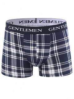 Мужские трусы из трикотажного полотна Gentlemen SIGS7823 бело-синий