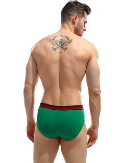 Хлопковые брифы на комфортной посадке Jolidon DT293блнТм Green