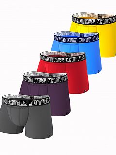 Набор трикотажных трусов контрастных оттенков (5шт) DAITRES SET-BCL-03-05-06-07-08-D Фиолетовый, Серый, Желтый, Красный, Бирюзовый