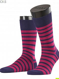 Мужские носки с двухцветным кольцевым узором Falke 13326 Even Stripe SO Фиолетовый
