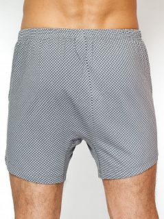 Классические мужские семейные трусы серого цвета в рубчик Torro LFTMB2084 GREY