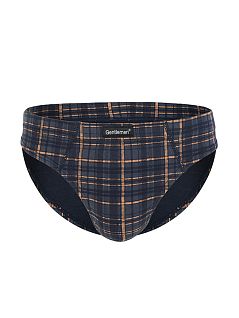 Набор облегающих брифов (2шт) Gentlemen DT8039гпТм Серый/Синий