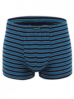 Хлопковые мужские трусы боксеры синего цвета в полоску Gentlemen SIGS7720