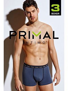 Комплект мужских трусов боксеров Primal B167(3шт.) ассорти (ass)
