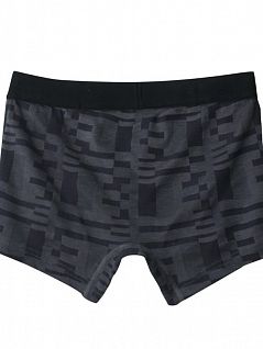 Мужские боксеры-брифы теплосберегающие серого цвета BODY WILD BWF391Gc94 графит