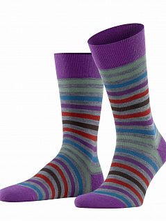 Классические носки из шерсти в полоску Falke 13279 Tinted StripeSO Бордовый 8895