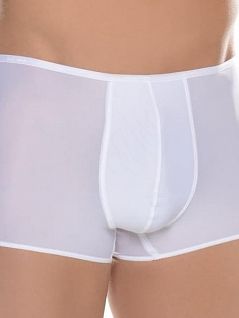Хипсы из тончайшего материала HOM 34c4755c0003