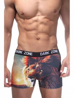 Яркие боксеры с 3D принтом " Лев" DARKZON RTDZN1052