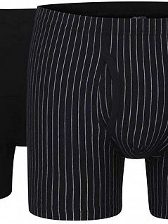 Комплект боксеров в полоску и однотонные с гульфиком (2шт) GÖTZBURG FG742938/S-XXL Черный