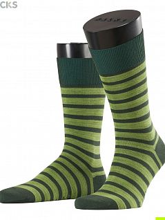 Носки с двухцветным кольцевым узором Falke 13326 Even Stripe SO Зеленый