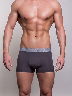 Трусы на контрастной резинке из модала и хлопка темно-серого цвета Salvador Dali DTSD2043-1 серый