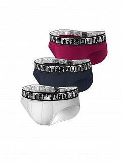 Комплект брифов из бамбука (3шт) DAITRES SET-PB-01-03-10-D Серый, Белый, Бордовый
