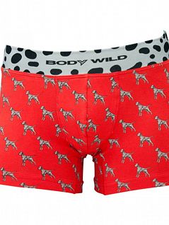 Мужские боксеры-брифы на широкой резинке красного цвета BODY WILD BWG180Gc4
