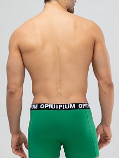 Эластичные боксеры на шелковисто и мягкой резинке Opium VOOpium_R-152 Green Зеленый