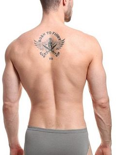 Однотонные брифы на вшивной резинке Jolidon DT194блнТм Grey