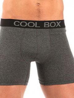 Мягкие боксеры на широкой резинке серого цвета E5 Underwear RT32244 распродажа