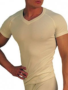 Теплая мужская футболка «Doreanse Thermo Comfort» 2880c02 белая