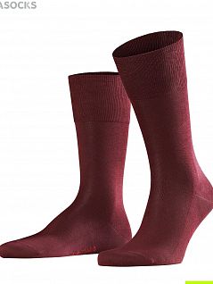Мужские носки из хлопка Falke 14662 Tiago SO Бордовый