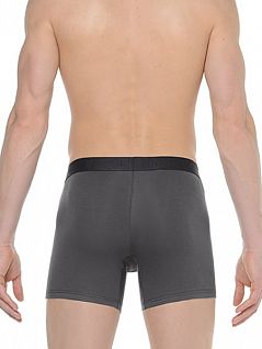 Стильные мужские трусы из хлопка серого цвета HOM Victor 01089cZU
