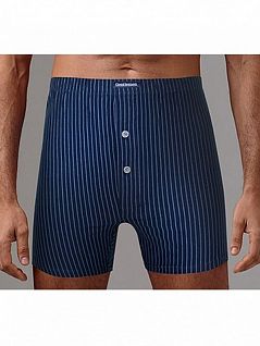 Трусы из 100% хлопка Gentlemen SIGB7703 синий/полоса