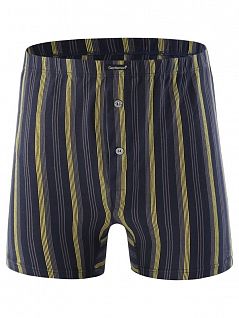 Мужские трусы с гульфиком на пуговицах Gentlemen SIGB7829Б синий