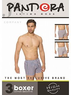 Трикотажный комплект трусов на ширинке застежка-пуговица Pandora JSPD 1828 (3 шт.) boxer assorti