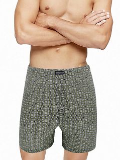 Комфортные трусы свободного кроя с узором Gentlemen DT7962гбТм Зеленые_круги