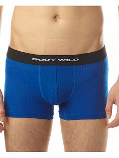 Мужские боксеры-брифы с жаккардовым рисунком голубого цвета BODY WILD BWE063Gc58 голубой