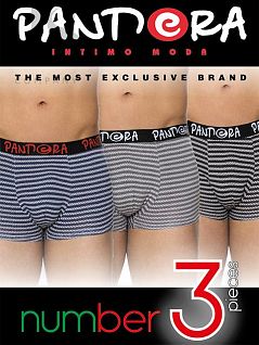 Мужской комплект боксеров с принтом "веревки и полоски" Pandora JSPD 1744 (3 шт.) boxer assorti