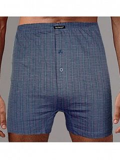 Семейные трусы на эластичной резинке Gentlemen SIGB7804 светло-синий