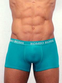 Яркие мужские трусы боксеры зелёного цвета Romeo Rossi Boxers R6005-7