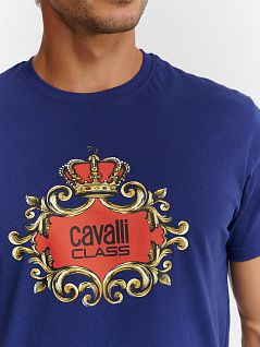 Мужская футболка с фирменным печатным принтом синего цвета Cavalli CLL2MTS02c04926