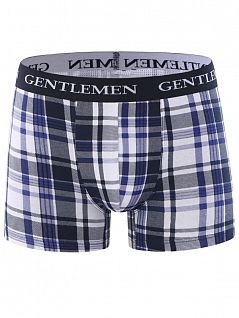 Эластичные боксеры на мягкой резинке Gentlemen SIGS7823Б бело-голубой