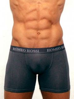 Удобные мужские трусы боксеры серого цвета с длинной штаниной Romeo Rossi Long boxers R7001-4 распродажа