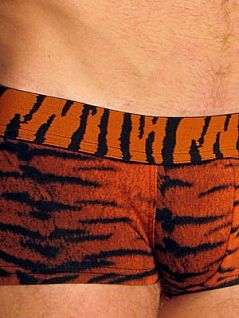 Мужские трусы-хипсы «Doreanse Wild» тигровые 1820c01
