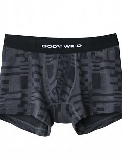Мужские боксеры-брифы теплосберегающие серого цвета BODY WILD BWF391Gc94 графит
